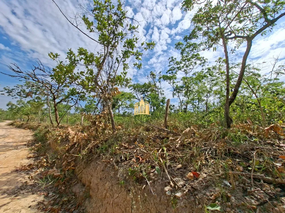 Terreno, 6 hectares - Foto 2