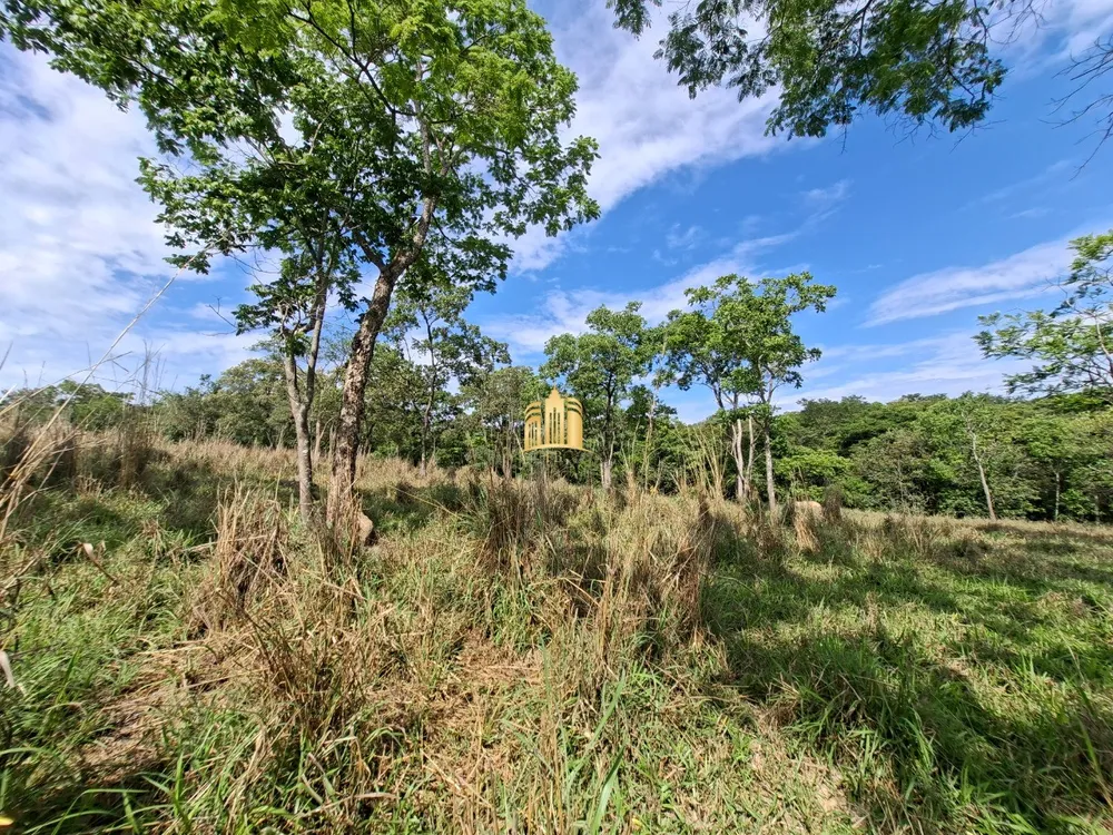 Terreno, 6 hectares - Foto 1