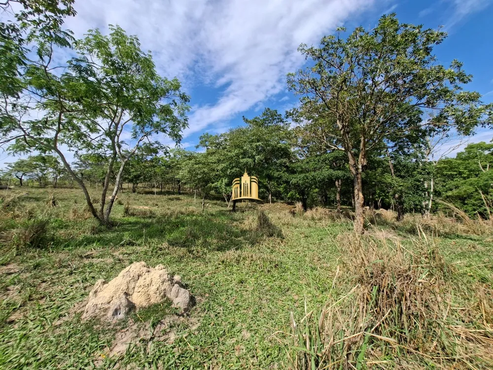 Terreno, 6 hectares - Foto 2