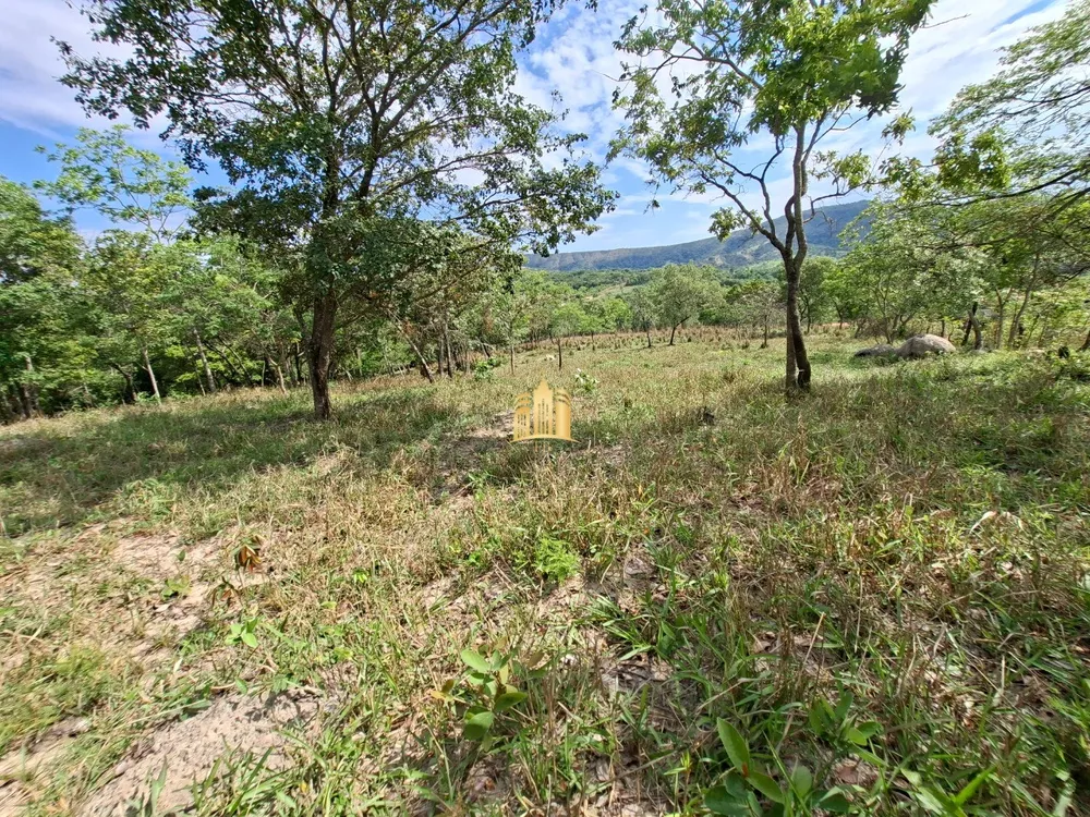 Terreno, 6 hectares - Foto 7