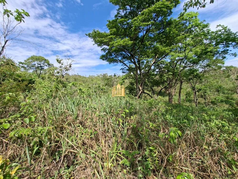 Terreno, 6 hectares - Foto 4