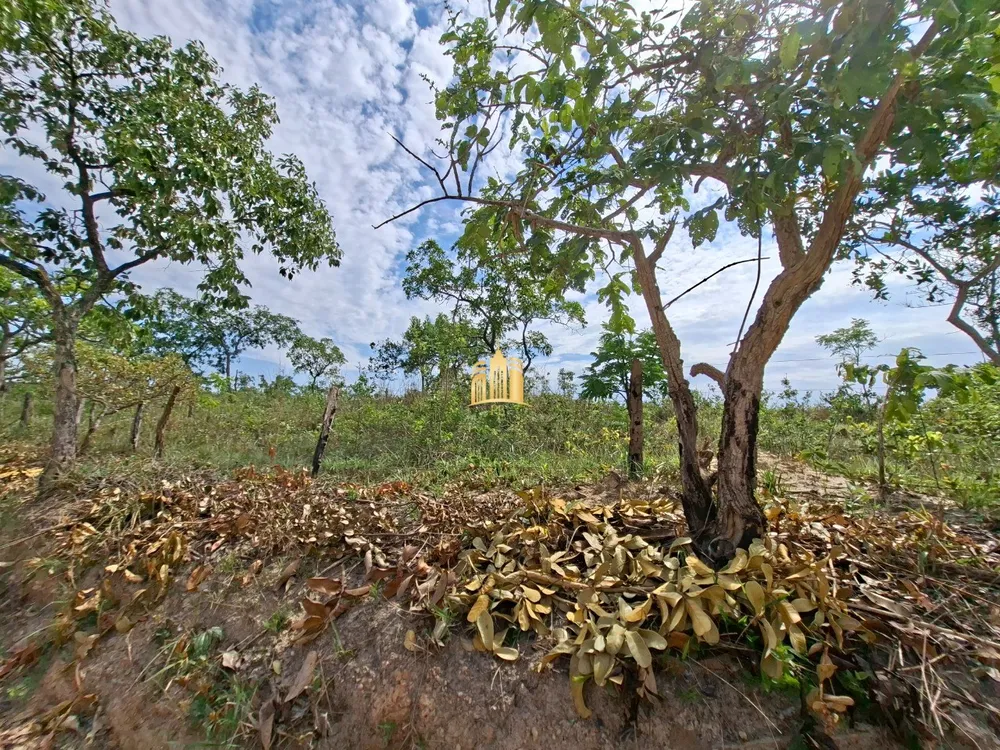 Terreno, 6 hectares - Foto 9