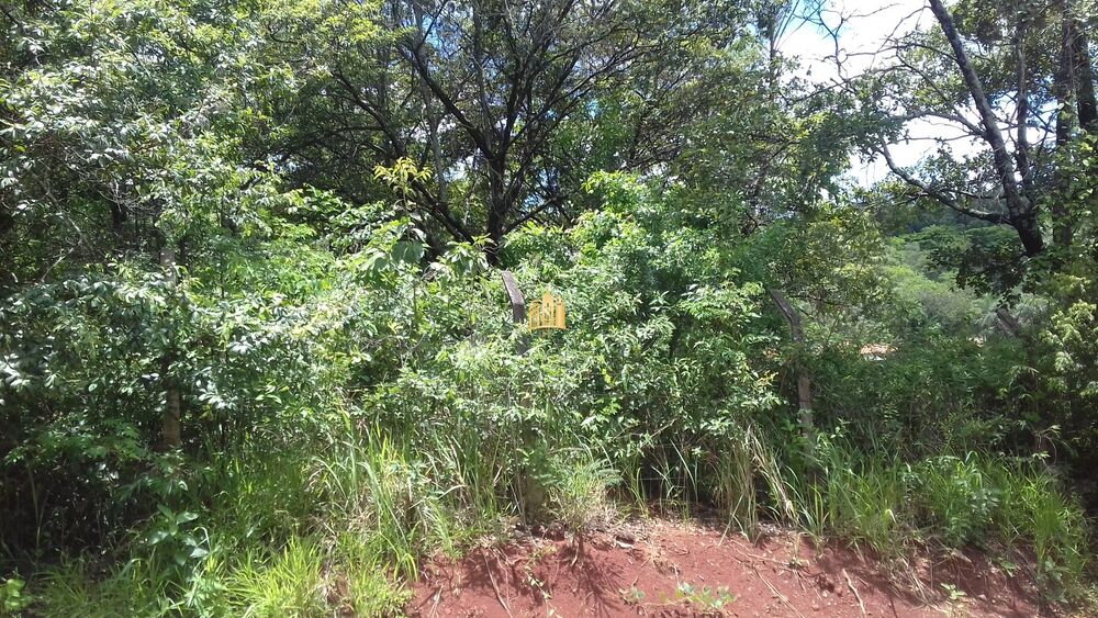 Terreno, 5000 m² - Foto 6