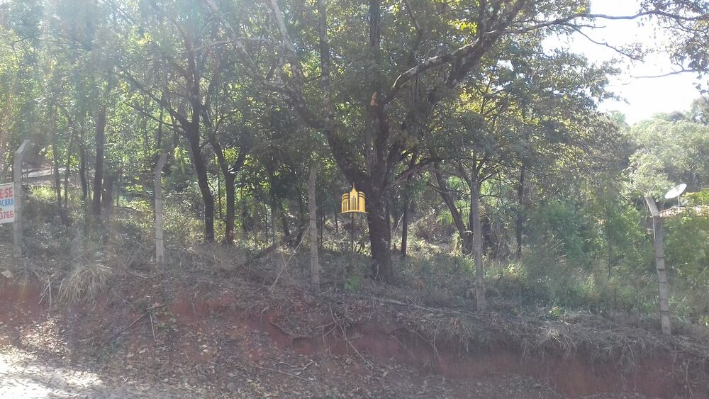 Terreno, 5000 m² - Foto 5