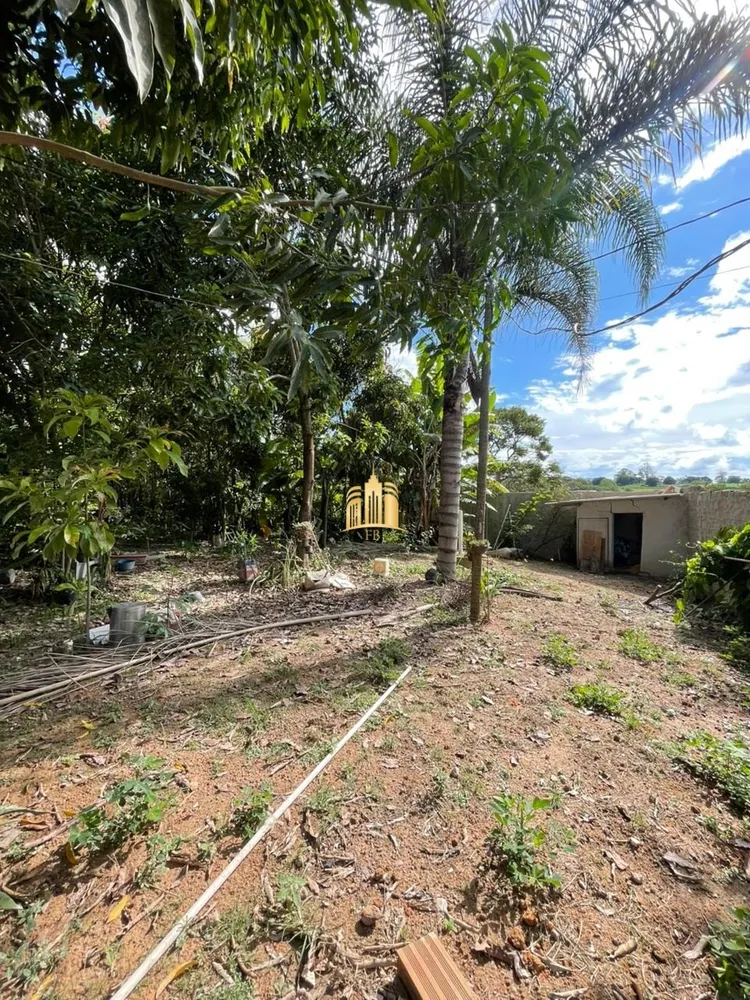 Chácara, 1 quarto, 780 m² - Foto 6