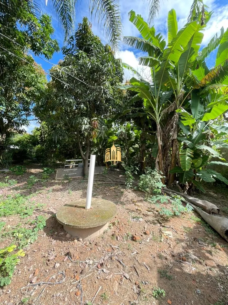 Chácara, 1 quarto, 780 m² - Foto 2