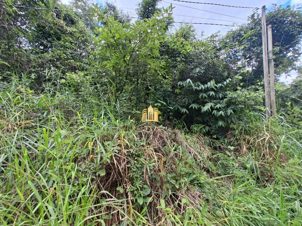 Terreno, 1000 m² - Foto 3