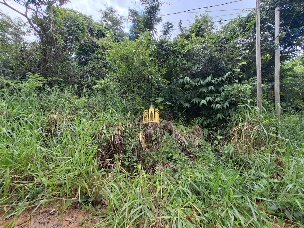 Terreno, 1000 m² - Foto 1