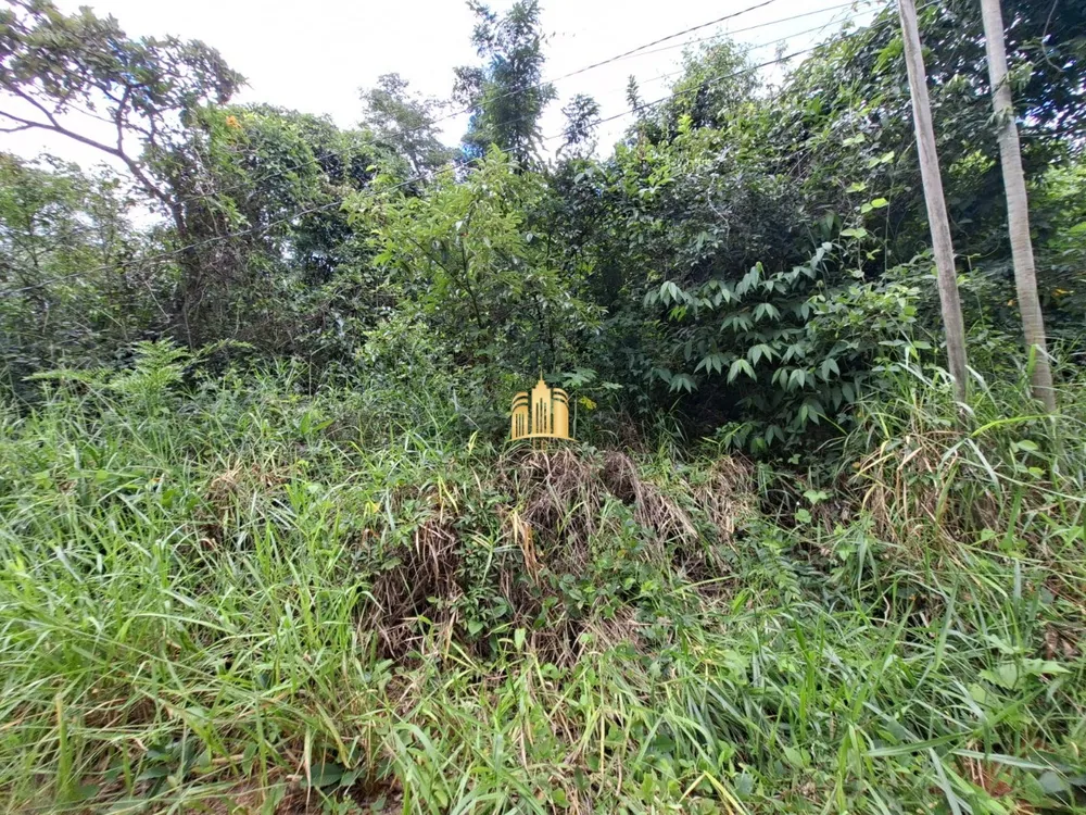 Terreno, 1000 m² - Foto 2