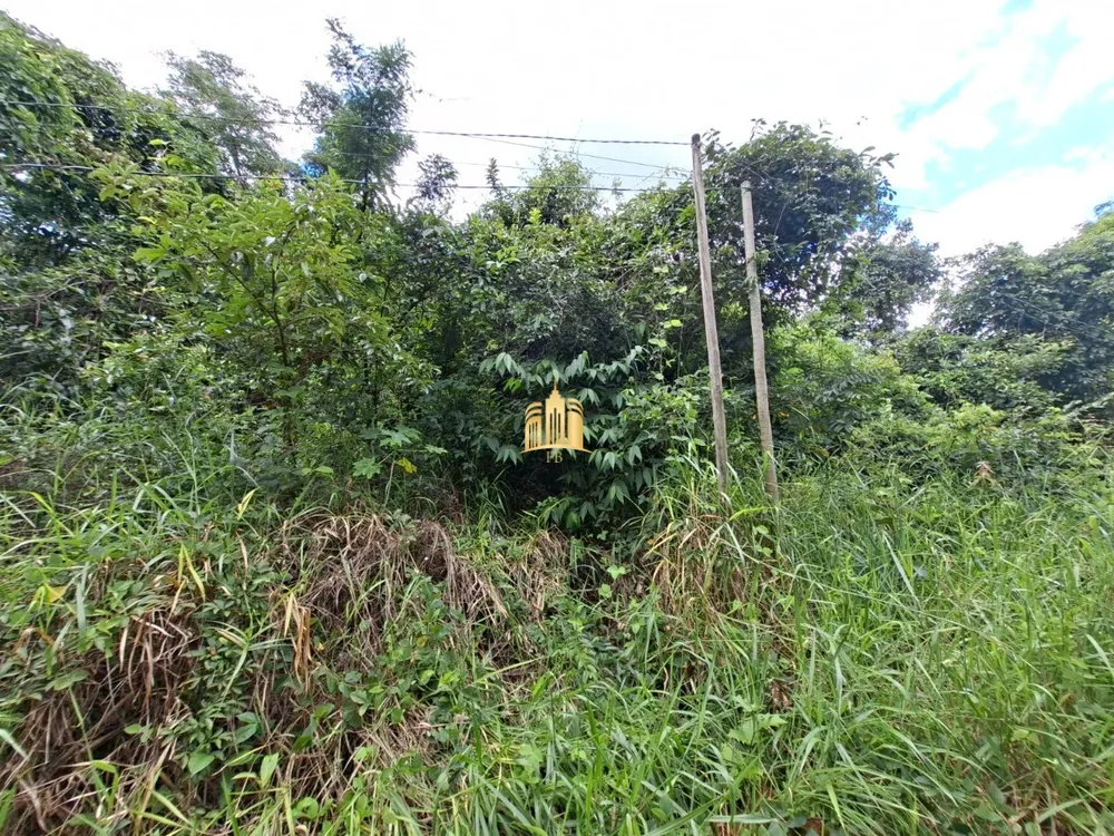 Terreno, 1000 m² - Foto 3