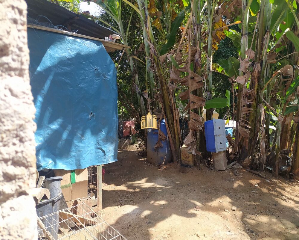 Casa, 2 quartos, 1000 m² - Foto 8