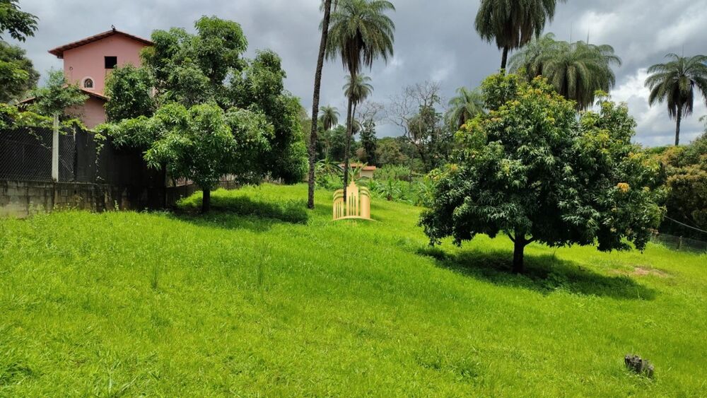 Terreno, 5000 m² - Foto 4