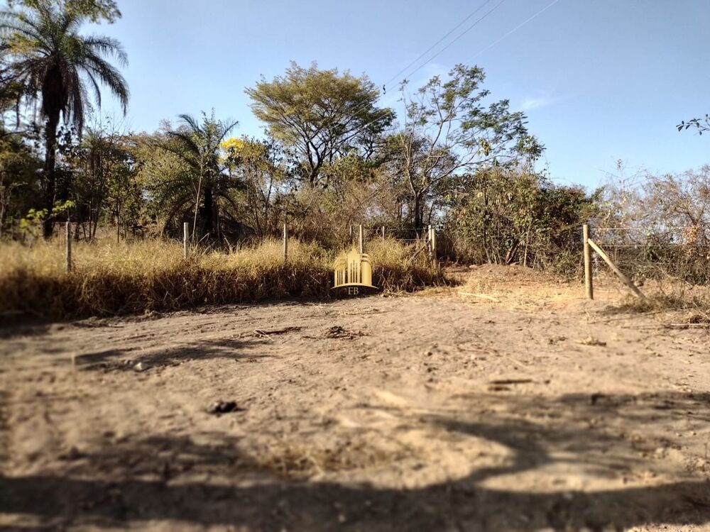 Terreno, 3 hectares - Foto 1