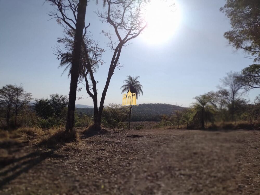 Terreno, 3 hectares - Foto 3