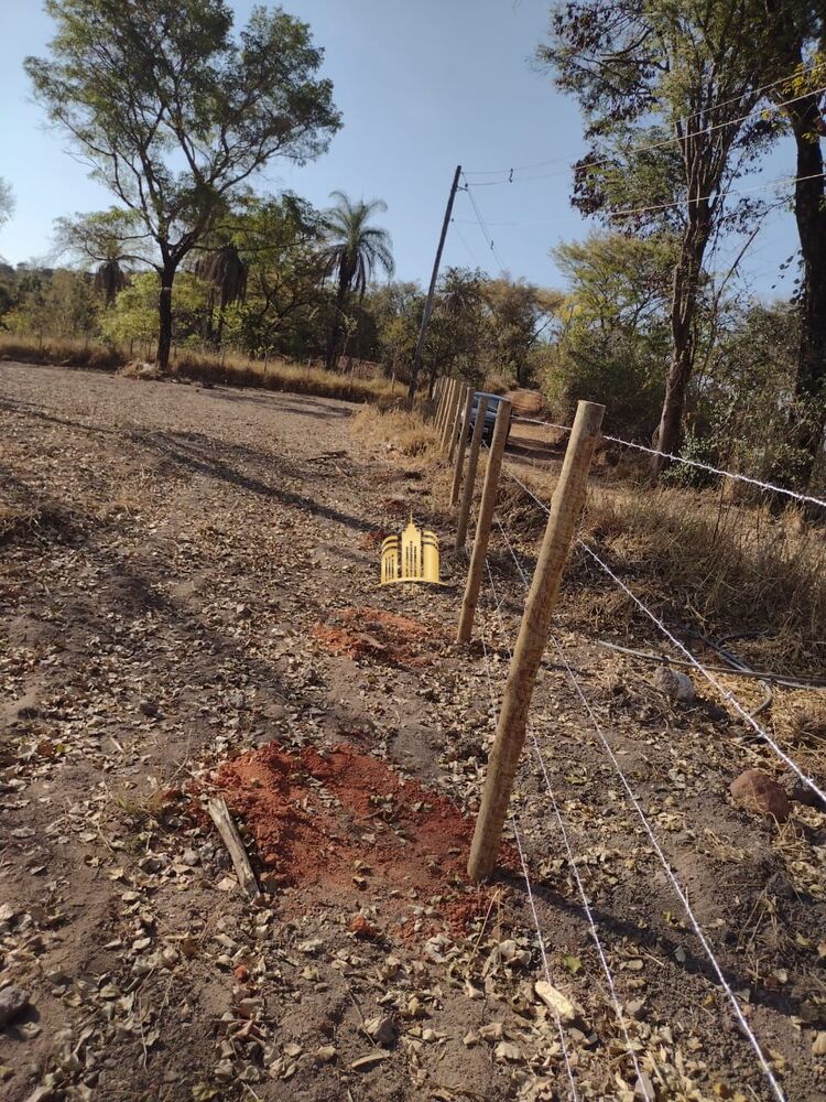 Terreno, 3 hectares - Foto 4