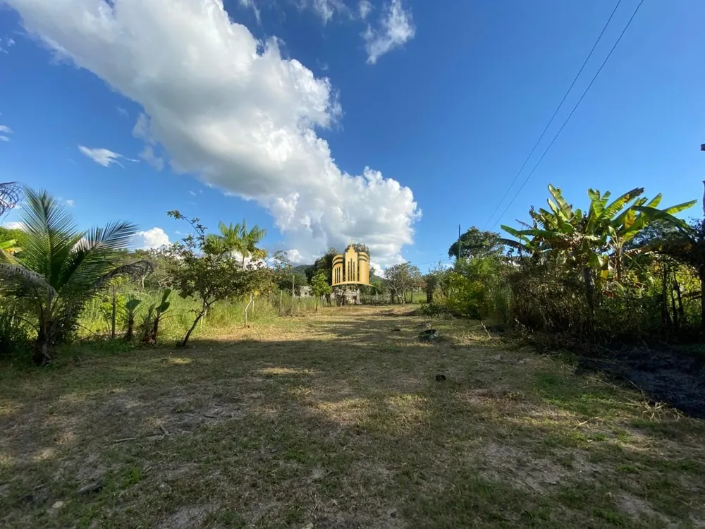 Sítio, 1 quarto, 1555 m² - Foto 4