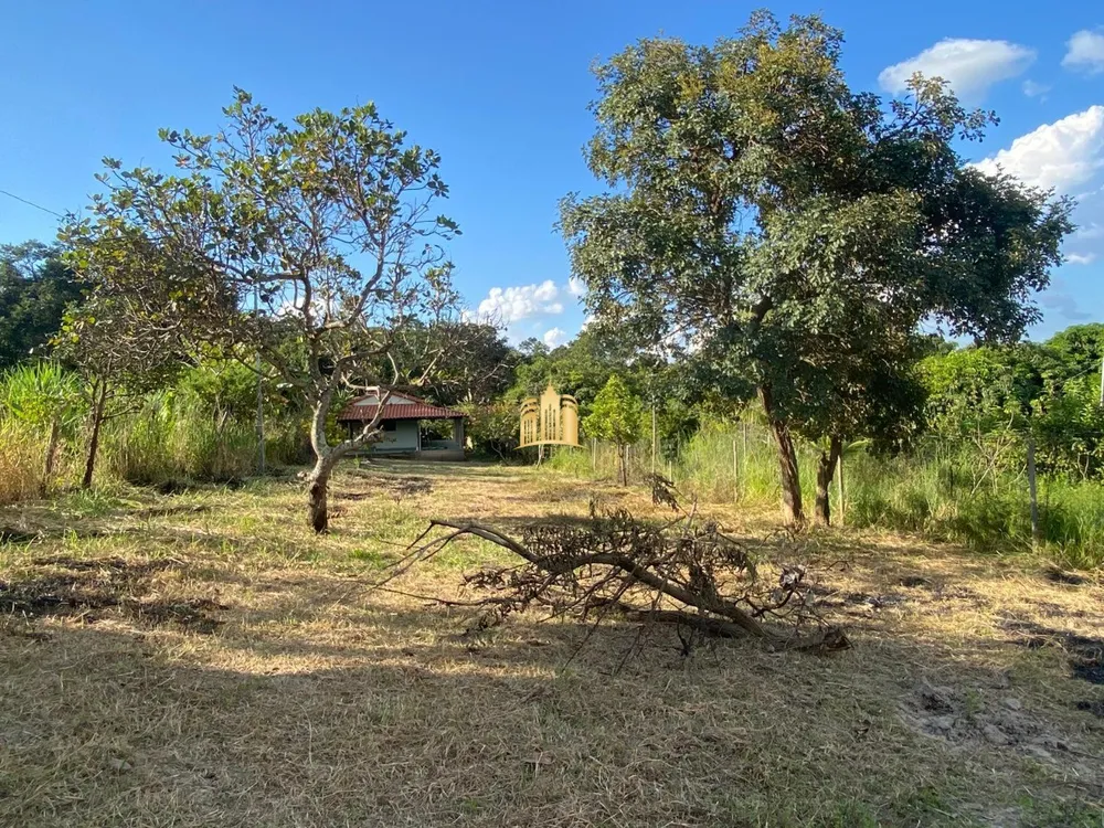 Sítio, 1 quarto, 1555 m² - Foto 1