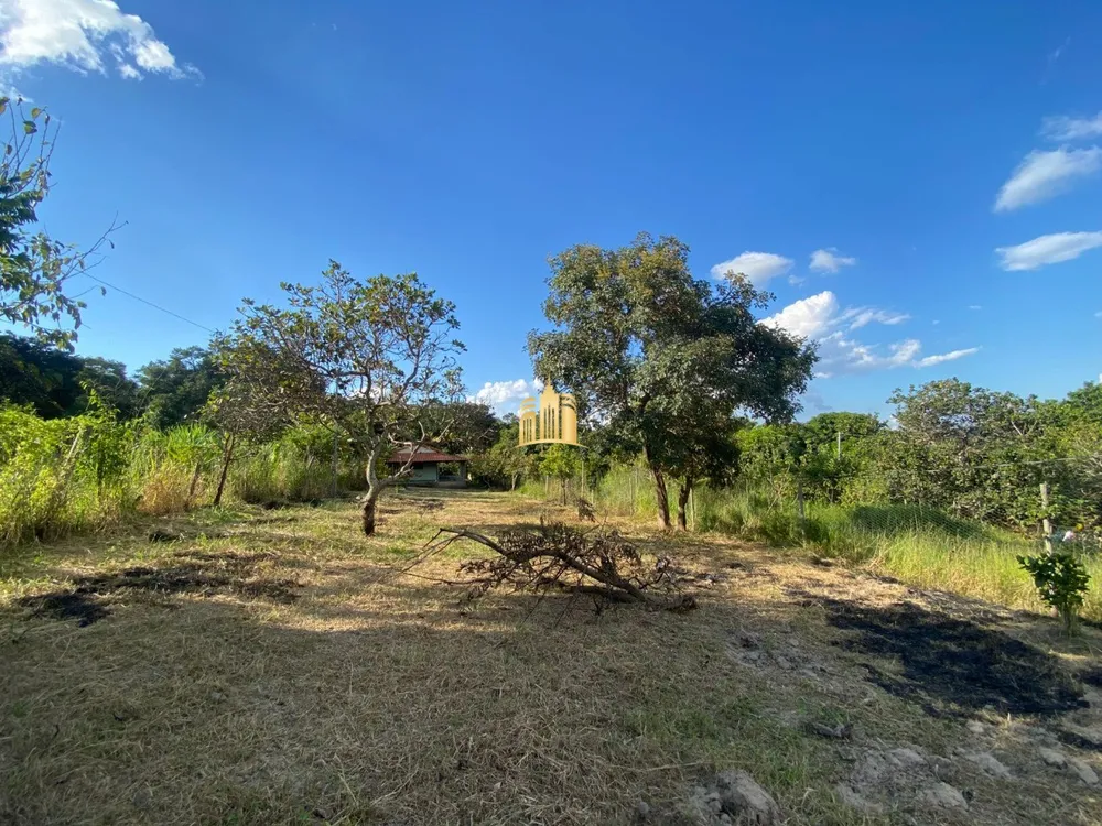 Sítio, 1 quarto, 1555 m² - Foto 3