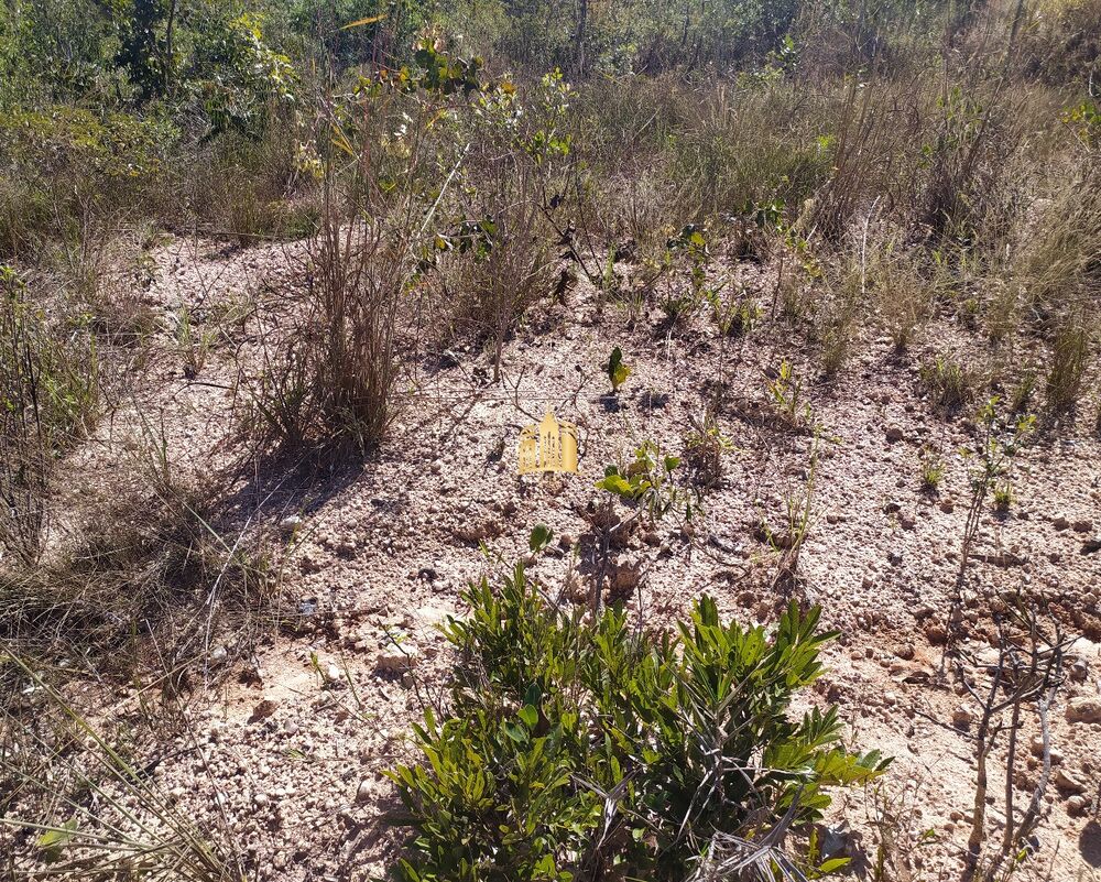 Terreno, 415 m² - Foto 5