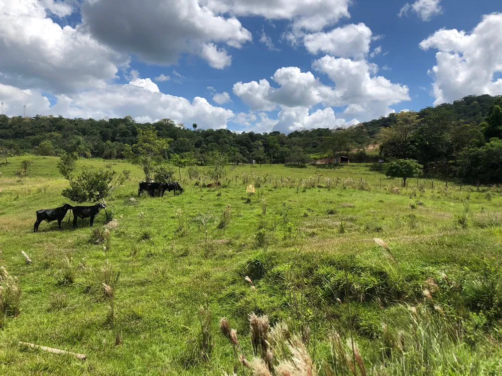 Loteamento e Condomínio, 5 hectares - Foto 8