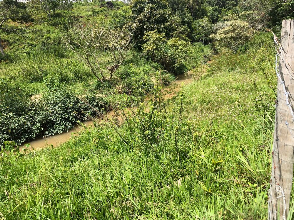 Loteamento e Condomínio, 5 hectares - Foto 2