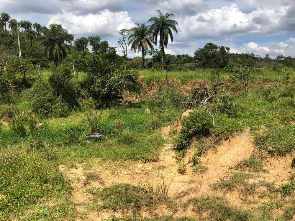 Loteamento e Condomínio, 5 hectares - Foto 14