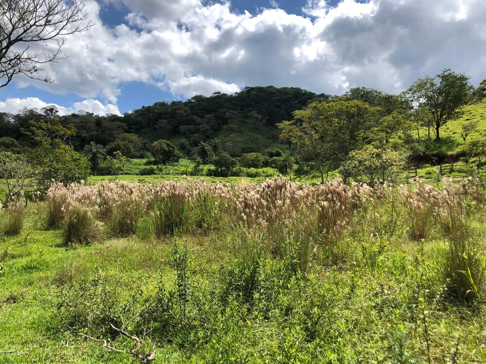 Loteamento e Condomínio, 5 hectares - Foto 4