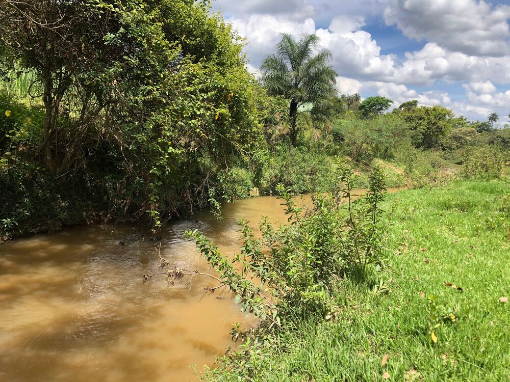 Loteamento e Condomínio, 5 hectares - Foto 3