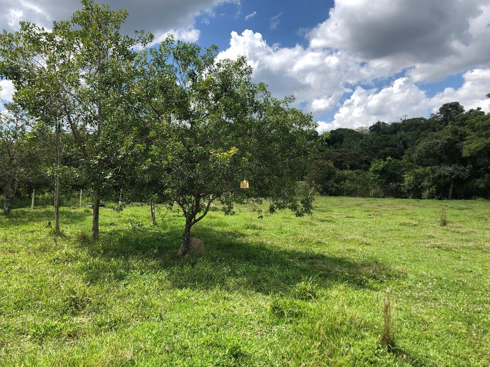 Loteamento e Condomínio, 5 hectares - Foto 1