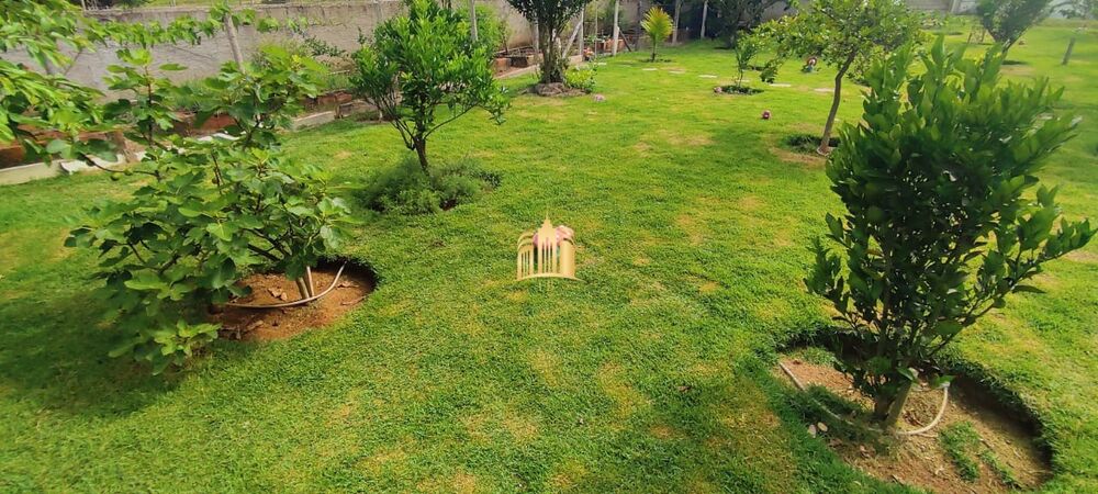 Sítio à venda e aluguel com 6 quartos, 2682m² - Foto 4