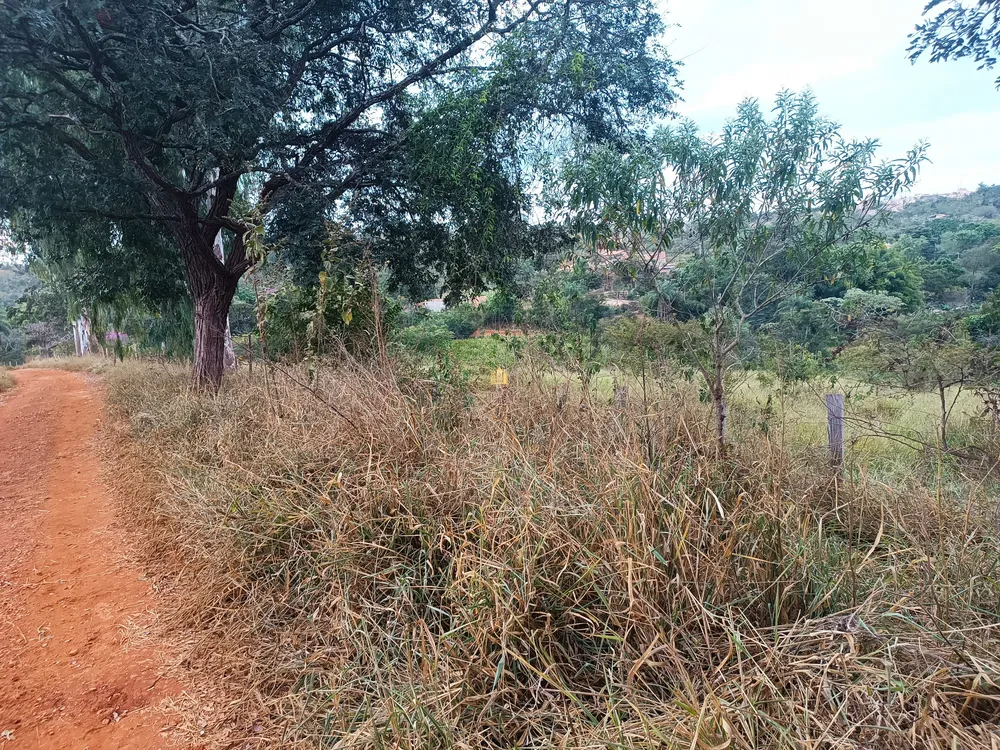 Loteamento e Condomínio, 4 hectares - Foto 6