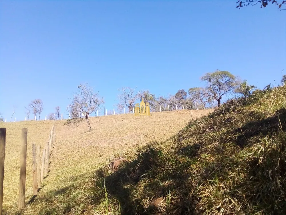 Chácara, 5200 m² - Foto 3