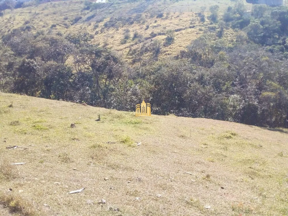 Chácara, 5200 m² - Foto 2