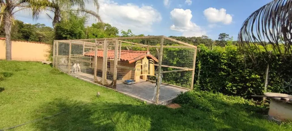 Sítio, 4 quartos, 1800 m² - Foto 7