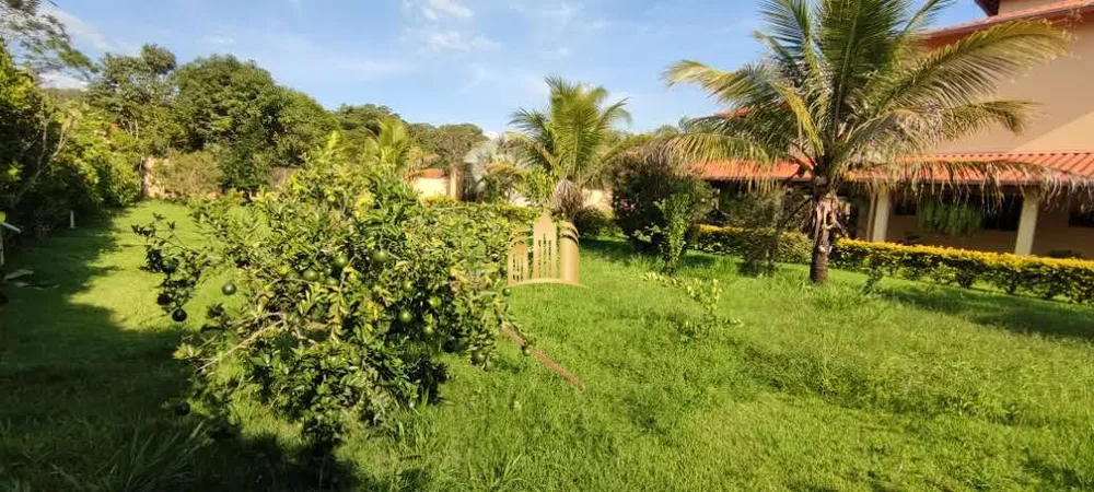 Sítio, 4 quartos, 1800 m² - Foto 6