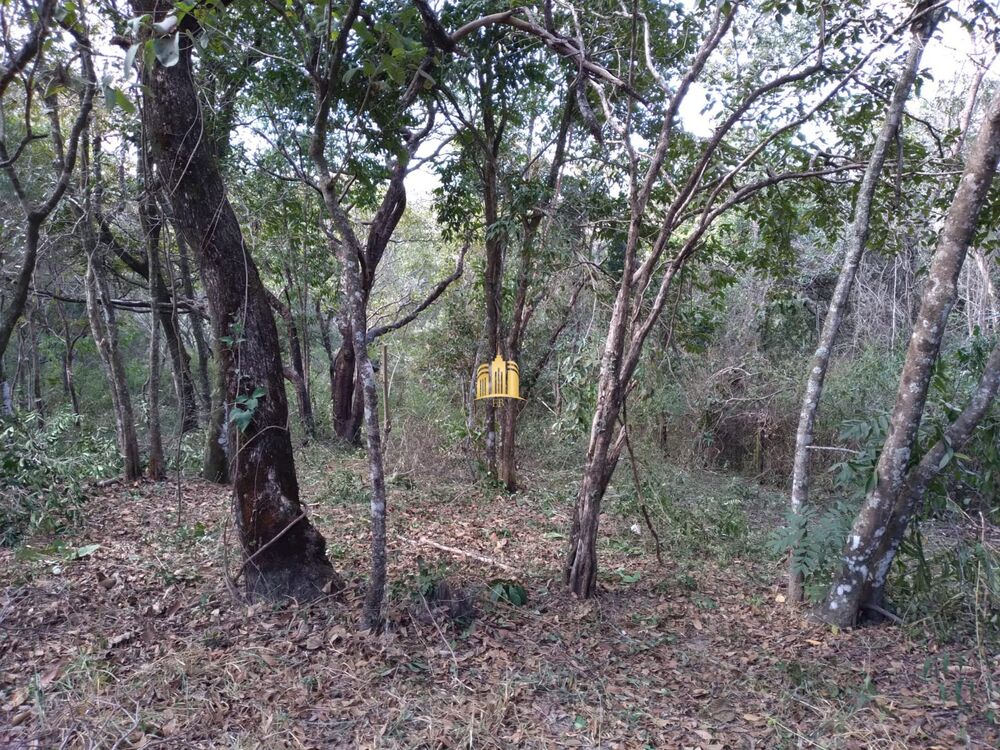 Terreno, 2000 m² - Foto 3