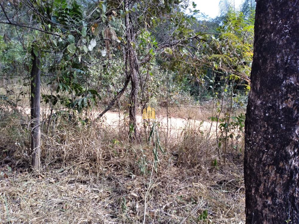 Terreno, 2000 m² - Foto 5