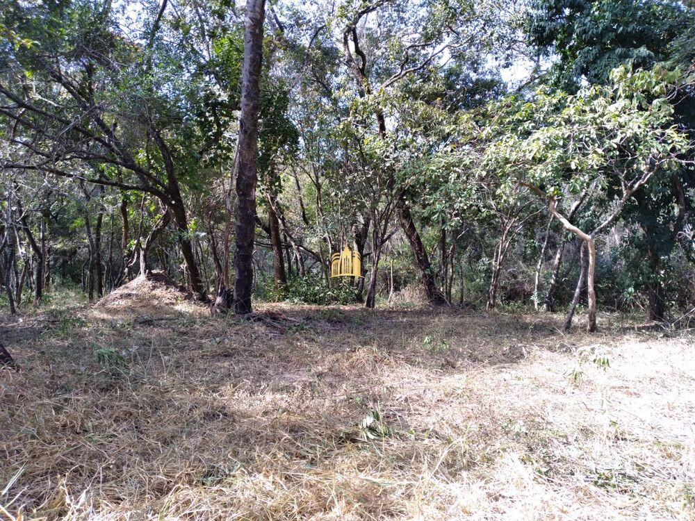 Terreno, 2000 m² - Foto 1