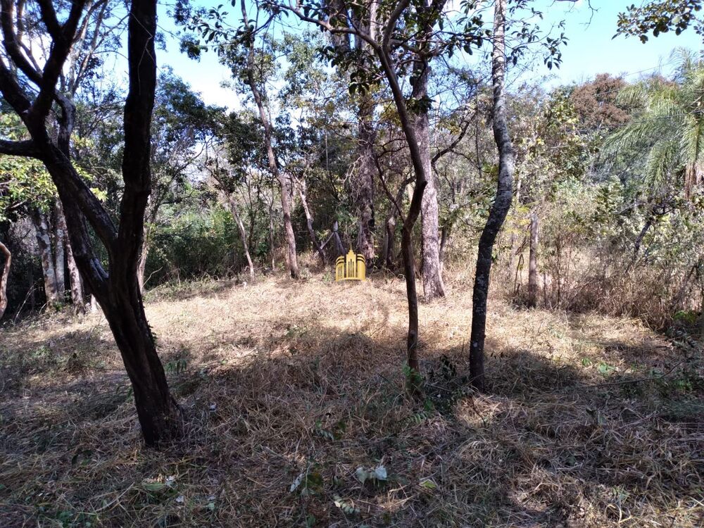 Terreno, 2000 m² - Foto 6