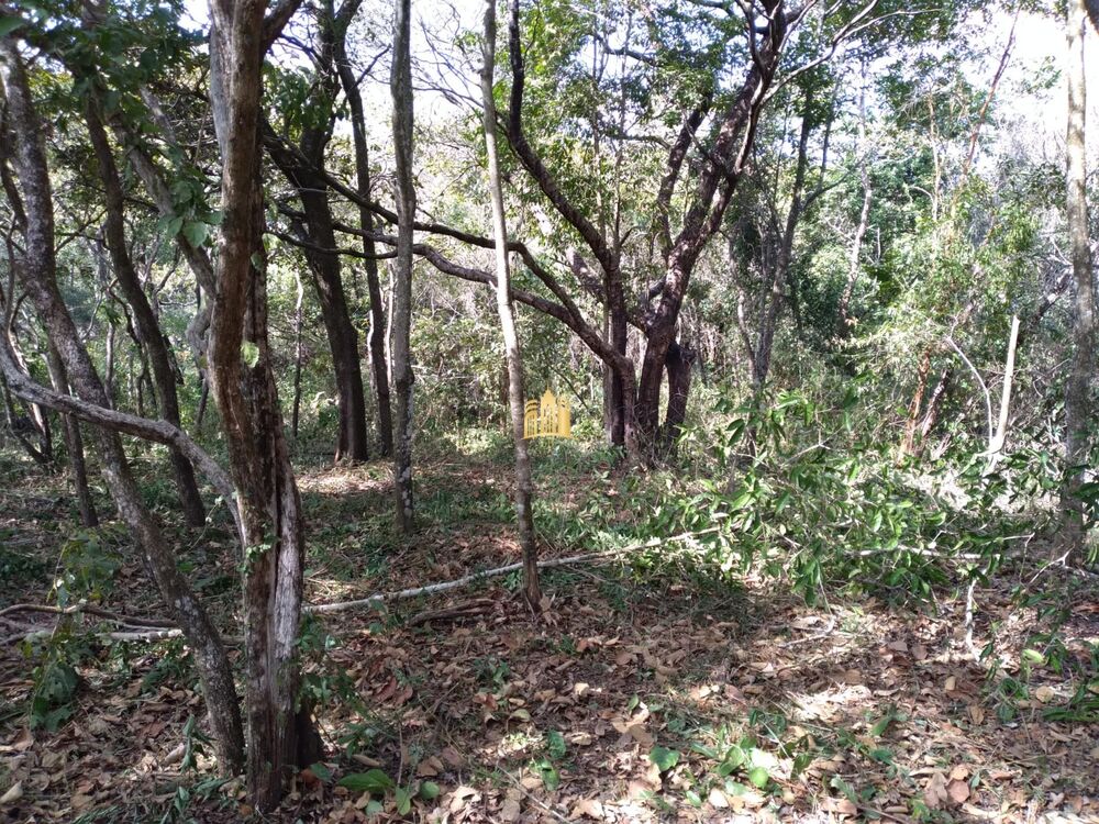 Terreno, 2000 m² - Foto 7