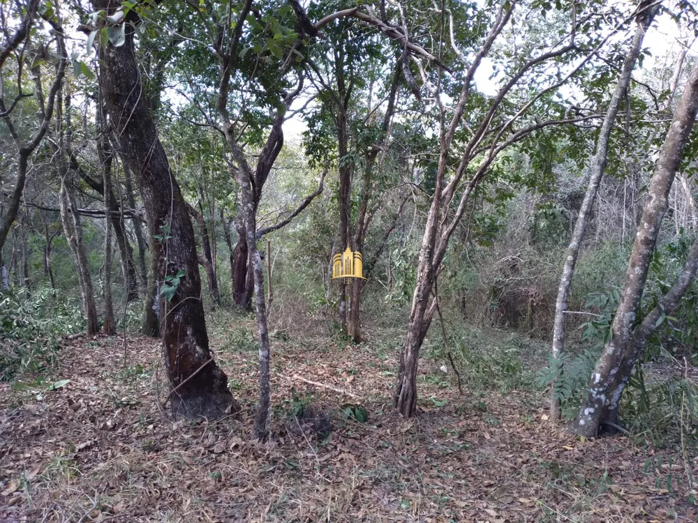 Terreno, 2000 m² - Foto 11