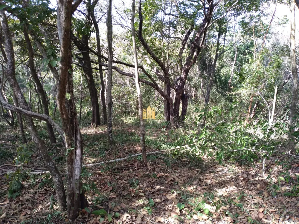 Terreno, 2000 m² - Foto 10