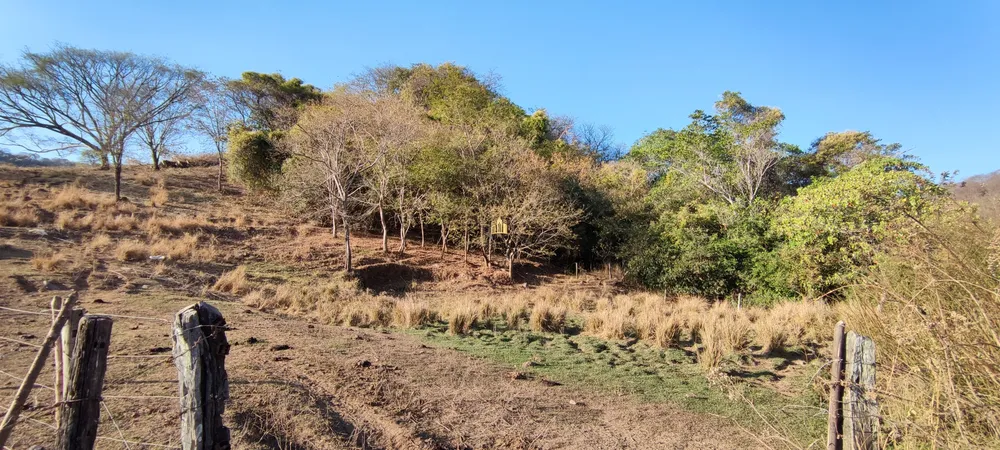 Fazenda, 50 hectares - Foto 20