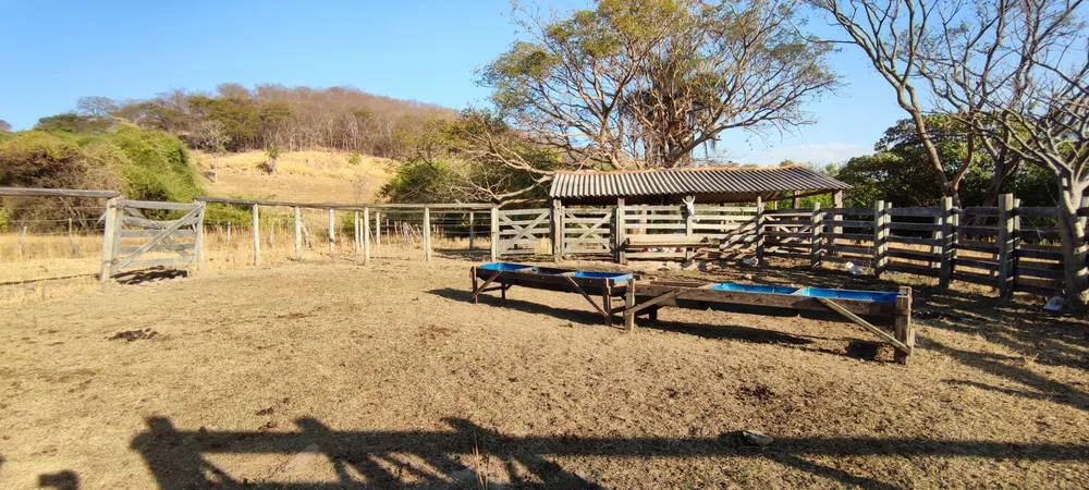 Fazenda, 50 hectares - Foto 17
