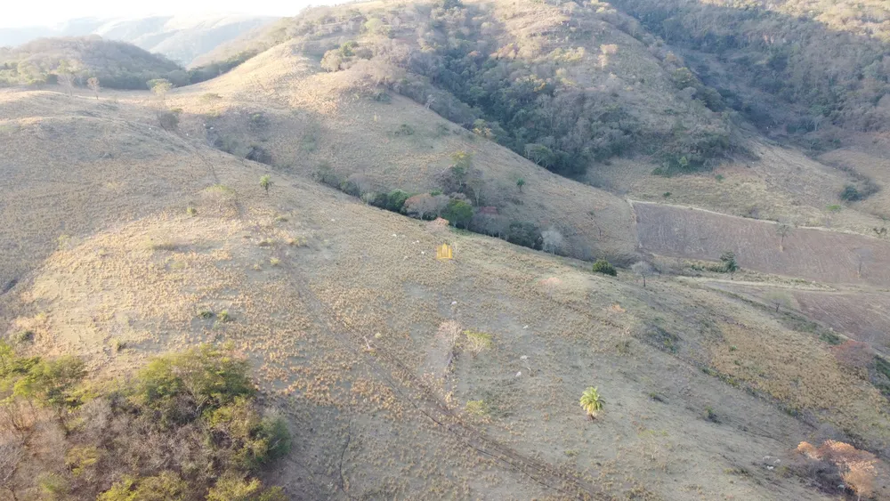 Fazenda, 50 hectares - Foto 14