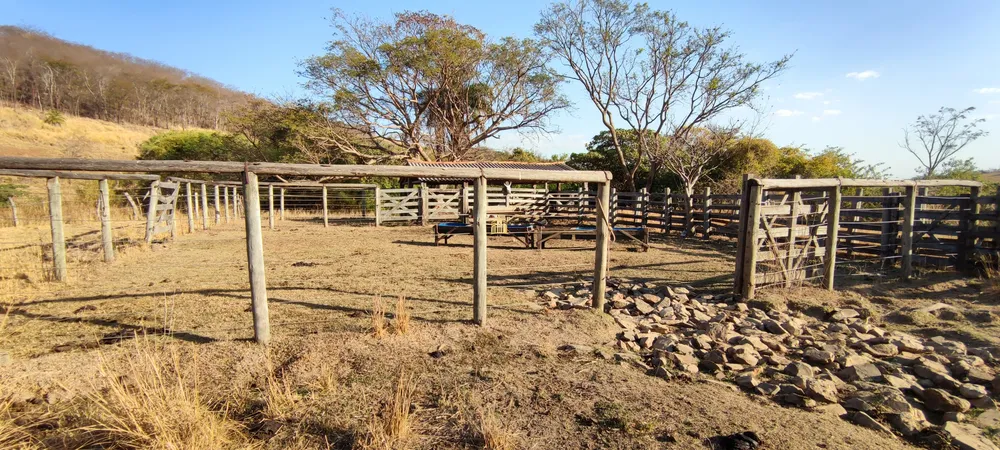 Fazenda, 50 hectares - Foto 16