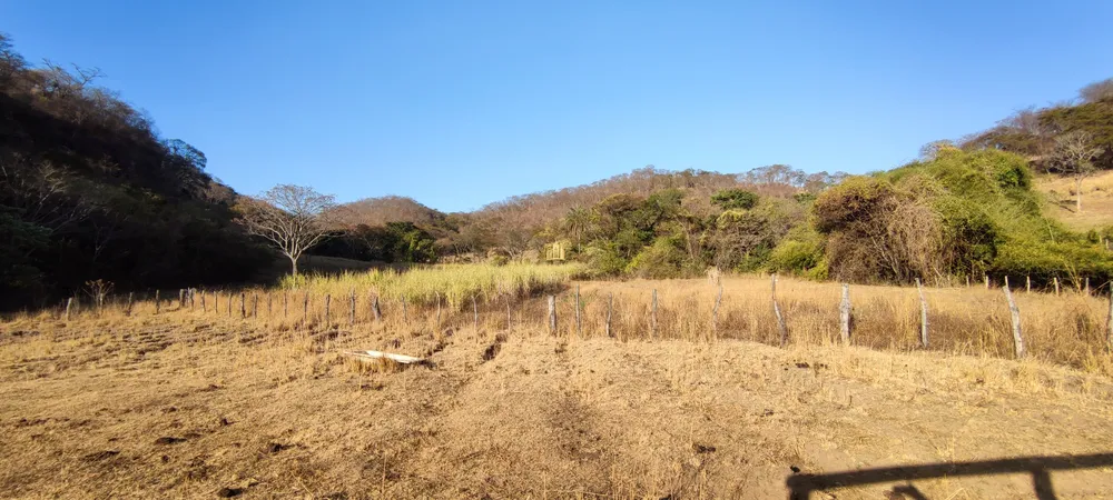 Fazenda, 50 hectares - Foto 11