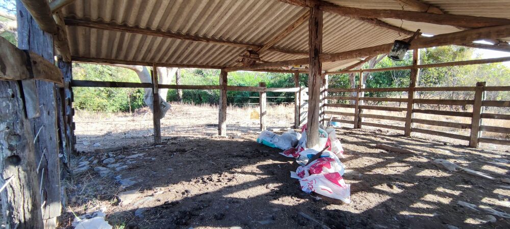 Fazenda à venda com 1 quarto, 400000m² - Foto 7