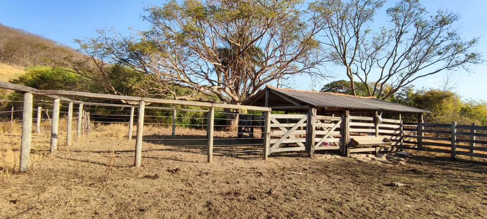 Fazenda, 50 hectares - Foto 9