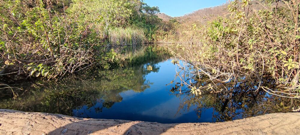 Fazenda à venda com 1 quarto, 400000m² - Foto 6